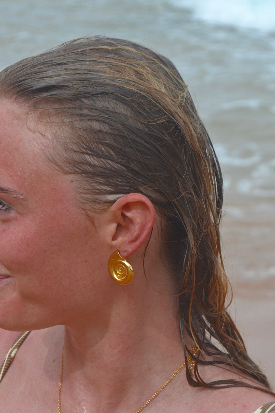 Spiral Shell Earrings