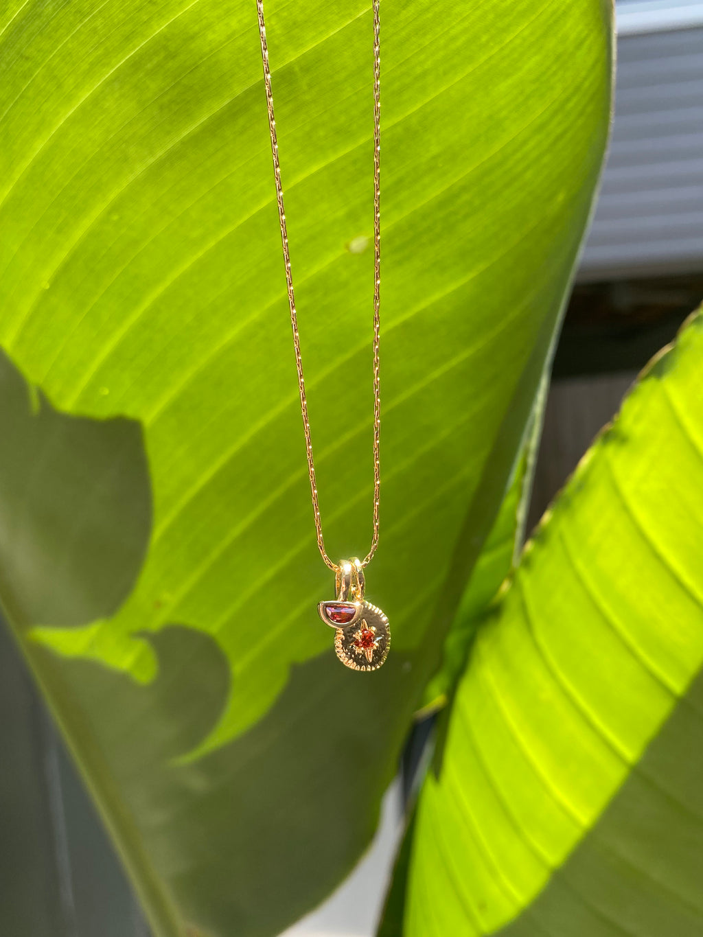 January Charm Necklace