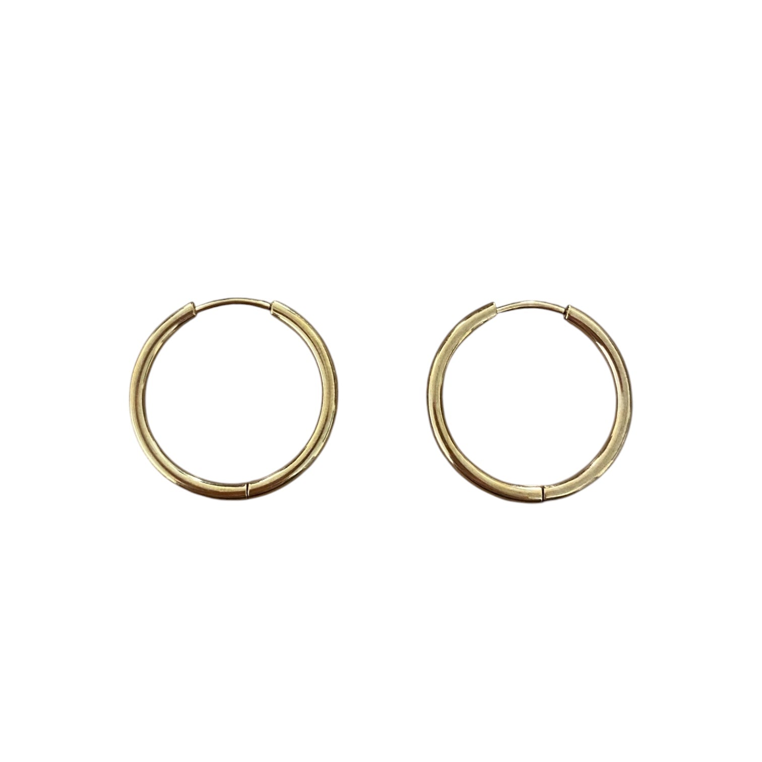 Haley Hoop Earrings